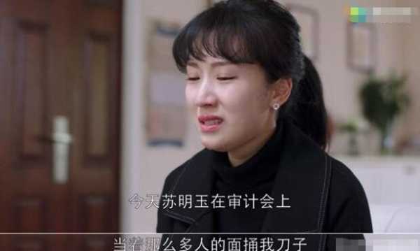 樊胜美是哪里人（樊胜美和苏明玉的差距在哪里）-图1