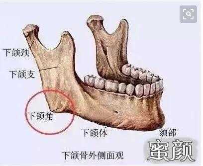 削骨削哪里（削骨削哪里）-图2