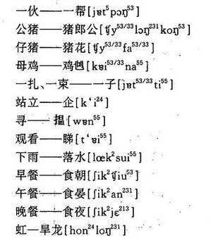 为什么发源于广西梧州的白话称为粤语或广东话呢,广东话你在哪里怎么说语音-图1