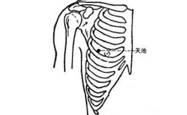 天池穴在哪里,天池的具体位置-图2