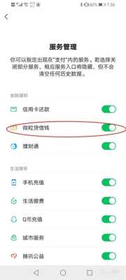 微信借钱功能在哪里（微信借钱功能在哪里打开?）-图3