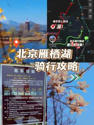 自驾去北京车停在哪里（自驾去北京车停在哪里最好）-图2