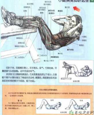 仰卧起坐练哪里的肌肉（仰卧起坐练哪里的肌肉图片）-图1