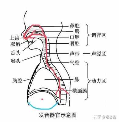 唱歌时用哪里发声？怎么练习,唱歌是用哪里发声图解-图1