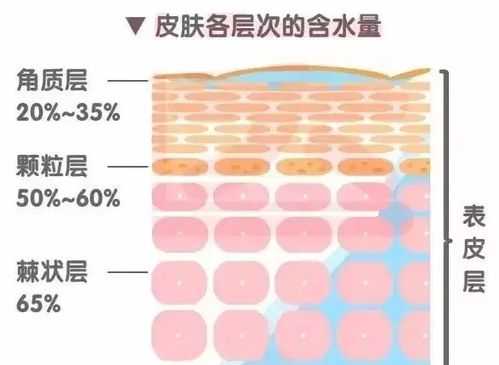 角质在哪里（角质在哪里获得）-图2