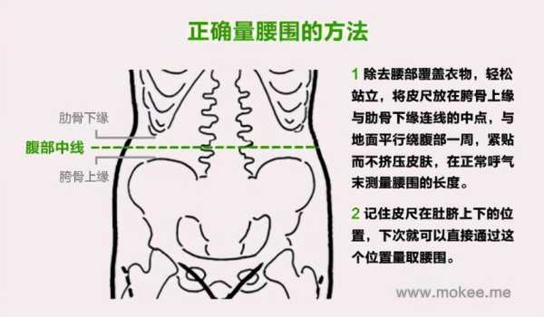 腰是量哪里（腰是量哪里）-图1