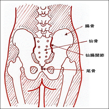 玄骨是哪里（玄骨是哪个部位）-图3