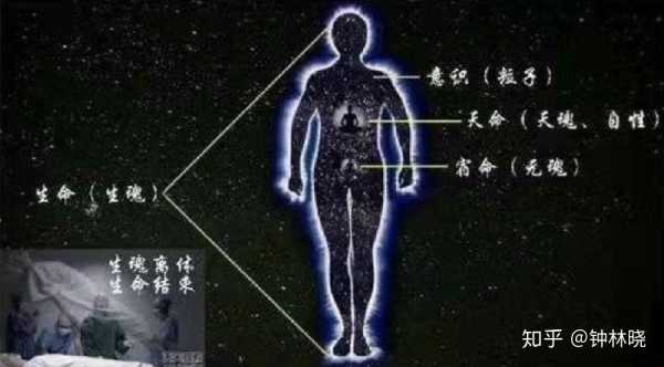 人死了魂魄去哪里了（人死了魂魄去哪里了科学说法）-图1