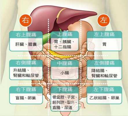 胃病哪里疼（胃病哪里疼图片）-图2