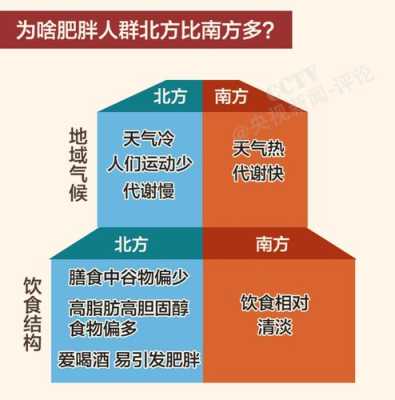 吃什么胖哪里（吃什么胖哪里分布图）-图1