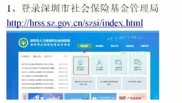 平湖社保局在什位置,深圳平湖社保局在哪里啊-图1