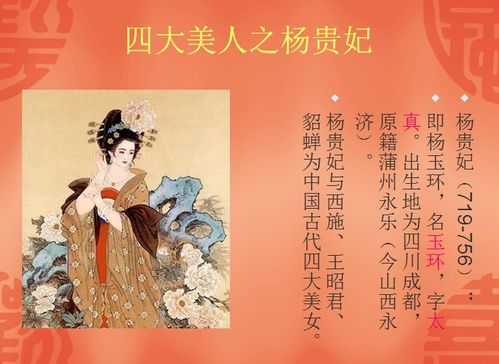 杨贵妃到底是哪里人（杨贵妃到底是哪里人啊）-图3