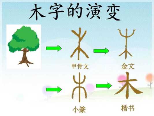 木材从哪里来（“木”字旁的字，都和什么有关）-图1