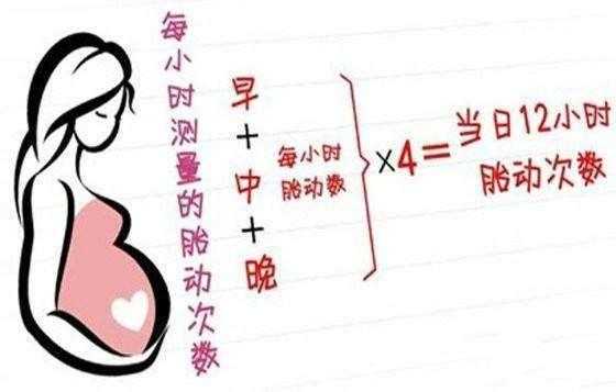 半岁的婴儿乳头凹进去是什么原因,乳颈是什么-图2