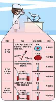 rh阴性血哪里有（俗称熊猫血是阴性还是阳性）-图2