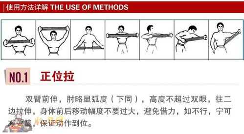 拉力器练哪里（拉力器练哪里）-图1