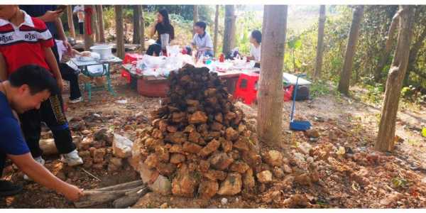 请问各位大神。南宁哪里景色美。适合游玩,南宁最好吃的窑鸡场所电话-图2