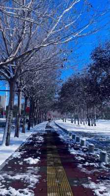 今天你所在的城市下雪了吗,中国今天哪个地方下雪了-图1