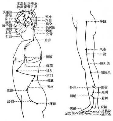 腿上的胆经在哪里（腿上的胆经在哪个位置）-图1