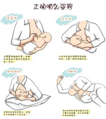 乳晕是在哪里（母乳喂养的正确姿势是什么？有哪些注意事项）-图2