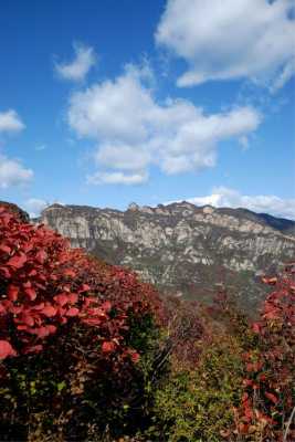 秋季去哪里旅游好（秋天旅游，哪里的景色最美）-图2