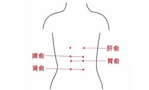 胃穴位在哪里（儿童推拿胃部穴位在哪）-图1