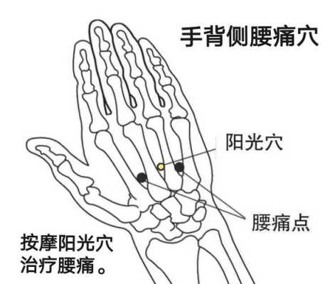 腰酸按摩哪里（腰痛，按摩什么穴位可减轻疼痛）-图1