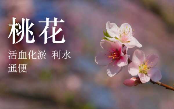 哪里求桃花（哪里求桃花比较灵）-图2