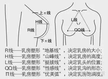 乳沟在哪里（乳沟在哪里）-图1