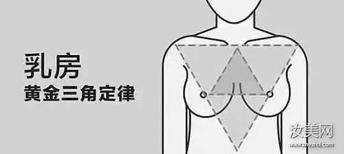 乳沟在哪里（乳沟在哪里）-图3