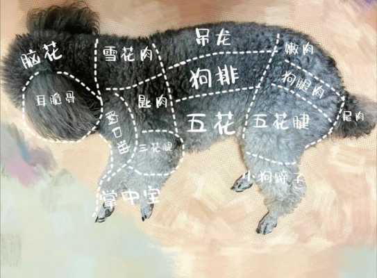 狗肉哪里来（狗肉哪里来的）-图2