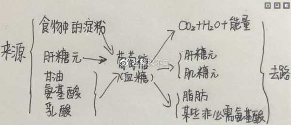 脂肪的原理是什么,脂肪从哪里来的-图2