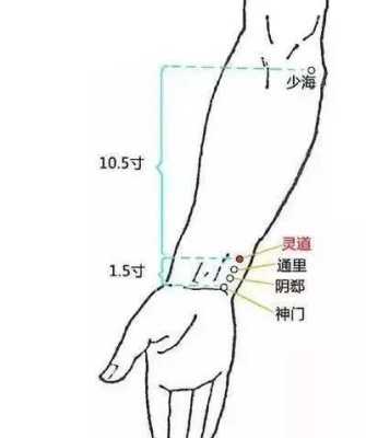 腕线是哪里（腕线是哪里）-图3