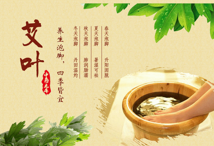 艾叶泡脚祛宫寒,蓝艾草新作-图2