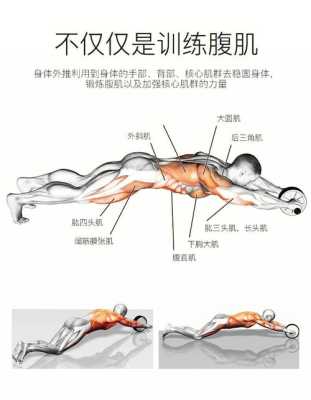 腹健轮练哪里（腹健轮练哪里）-图2