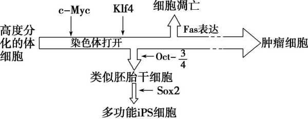 sccc是哪里人（刀塔2的NB.uuu9和inflame被战队列入不活跃状态，对此你怎么看）-图3