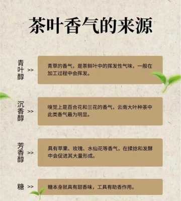 茶叶哪里来的（茶叶哪里来的最正宗）-图3