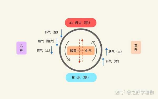 强心脏哪里看（请教一下，中医理论“心主神明”所说的“心”，是不是“心脏”）-图1