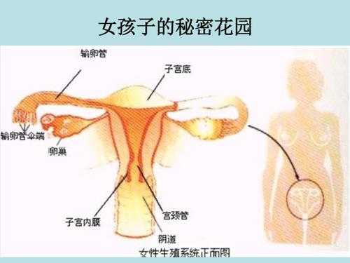 女人的哪里最重要（女人哪里最重要?）-图1