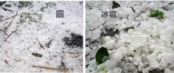 2017年哪些地方遭到了冰雹了,2017年什么时候下雪的-图1