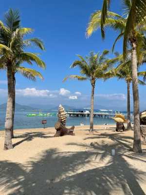 大东海和三亚湾住哪里好（大东海和三亚湾住哪里好）-图3