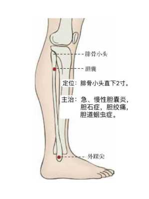 胆结石穴位止痛选哪些,艾灸调理胆结石-图2