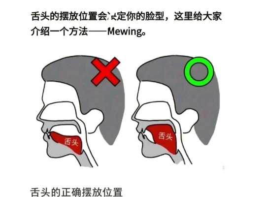 舌头放在哪里（舌头放在哪里才是正确的）-图2