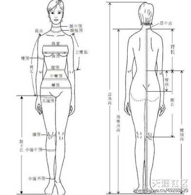 腿长从哪开始量,腿从哪里开始算长度-图1