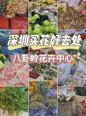 深圳哪里买花便宜（深圳哪里买花便宜又好看）-图3