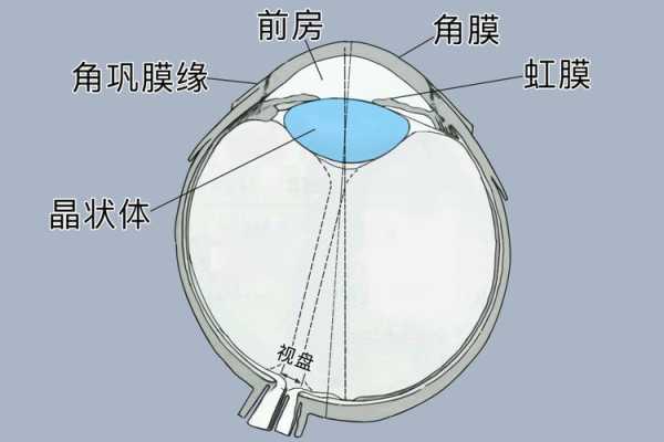 眼睛前房是哪里图片（眼睛前房是哪里图片）-图2