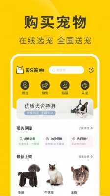 买宠物用哪个APP好又便宜,网上哪能买狗-图2