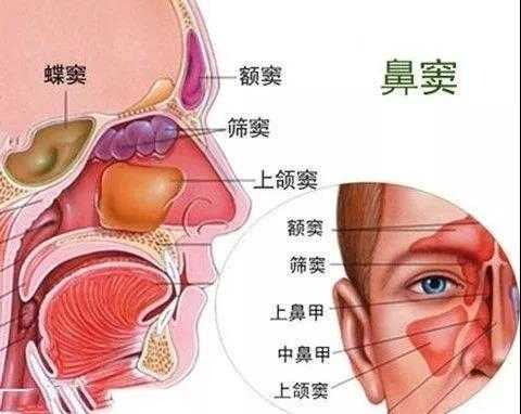 福州哪里看鼻炎好（福州哪里看鼻炎好）-图1