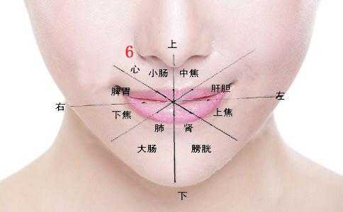 胃疼反射区在哪里（嘴唇是身体哪个部位的反射区）-图3