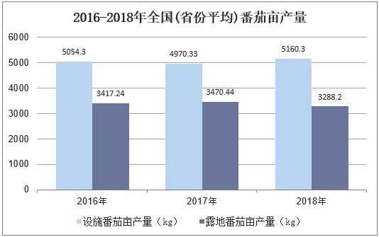 中国哪里的西红柿产量多？有何依据,西红柿哪里多产量高-图2